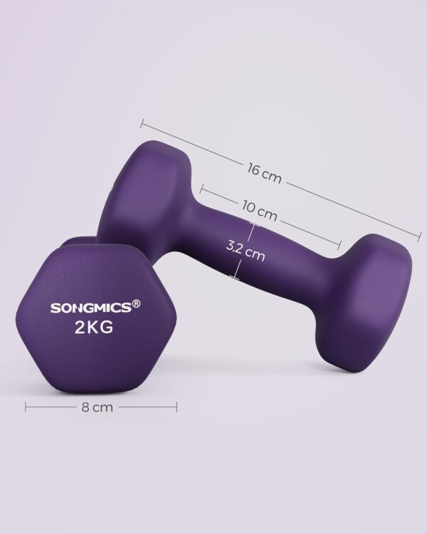 SONGMICS Dumbbells Set of 2 Dumbbells Hexagon Neoprene Coating Strength Training Workout Fitness Training Home