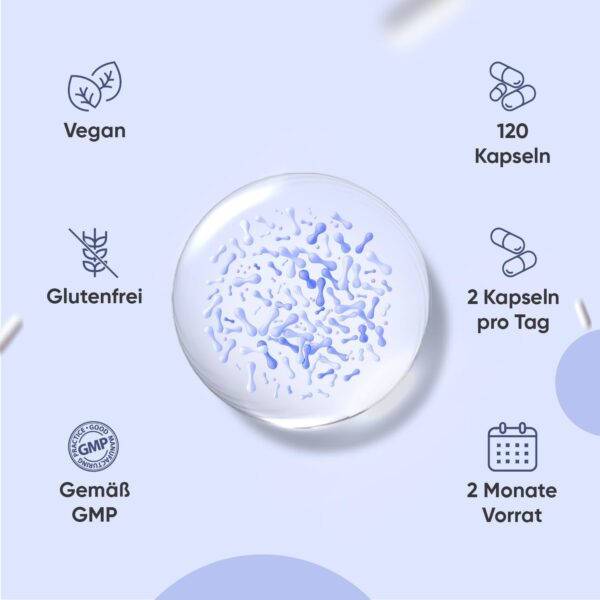 Culture Complex with 60 Billion CFU - 20 Bacterial Strains and Organic Inulin - 120 Vegan Capsules - Bacterial Cultures with Bifidobacterium, Lactobacillus Gasseri & Reuteri - 2 Months Supply
