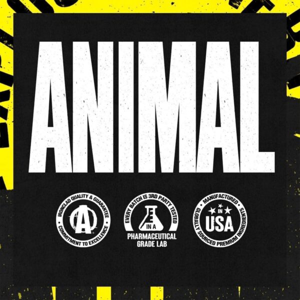 ANIMAL Pak Ultimate Foundation - 12-in-1 Multivitamin Complex with Vitamins, Minerals & Amino Acids - with Vitamin D3 K2 & Magnesium - 44 Packs of 8 Tablets