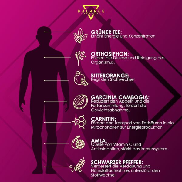 Ketosan (Diet Including Drainage) - Metabolism Capsules | Instant Metabolism Formula | Green Tea, Orthosiphon, Garcinia Cambogia, Piperina